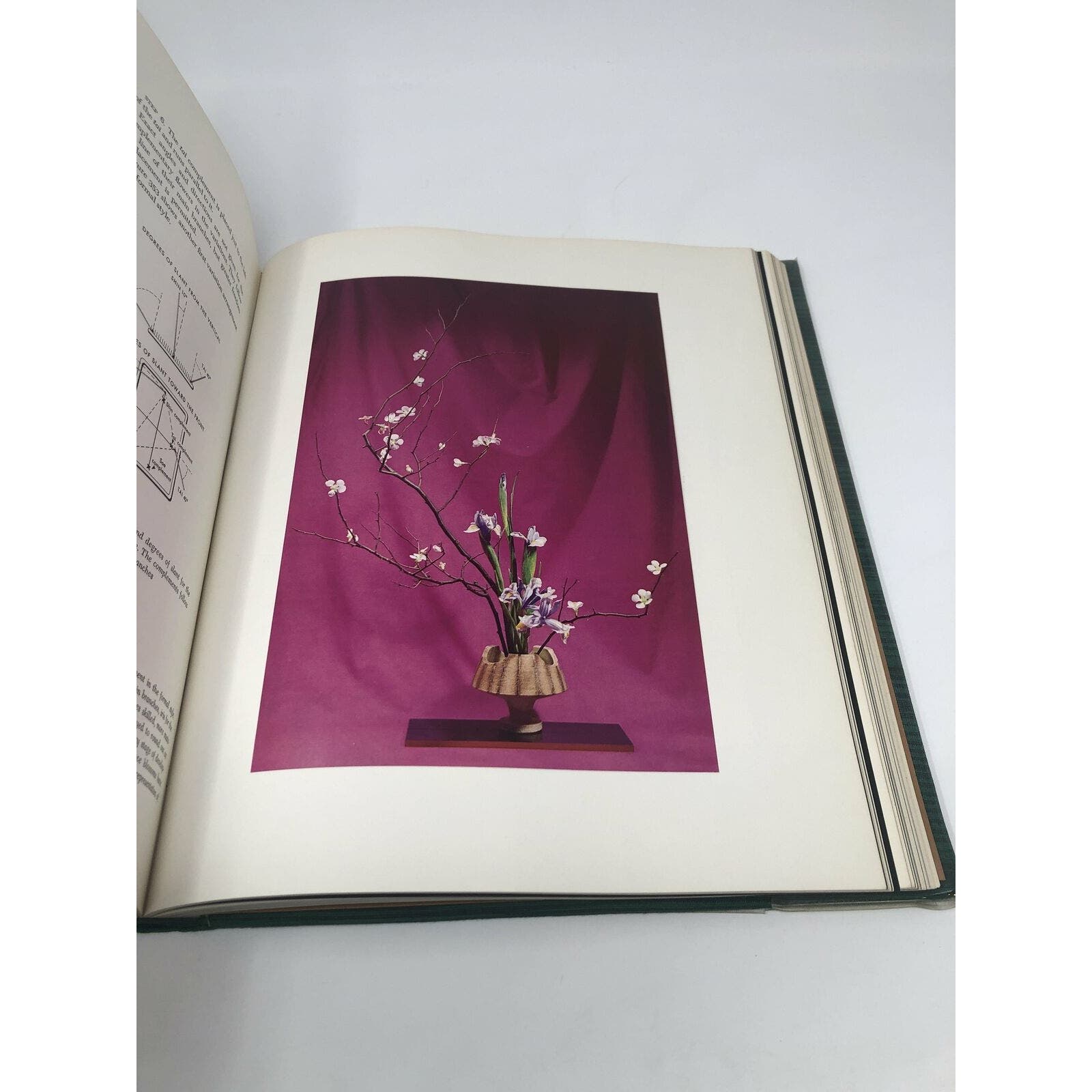 THE ART OF ARRANGING FLOWERS: A COMPLETE GUIDE TO JAPANESE IKEBANA by Shozo Sato - Uncle Buddy's Beard & Used Books